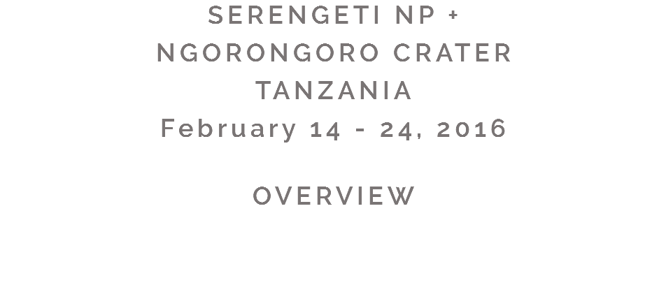 SERENGETI NP +
NGORONGORO CRATER
TANZANIA
February 14 - 24, 2016 OVERVIEW 